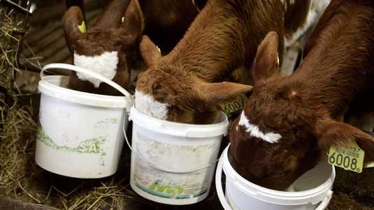 werken bij ForFarmers