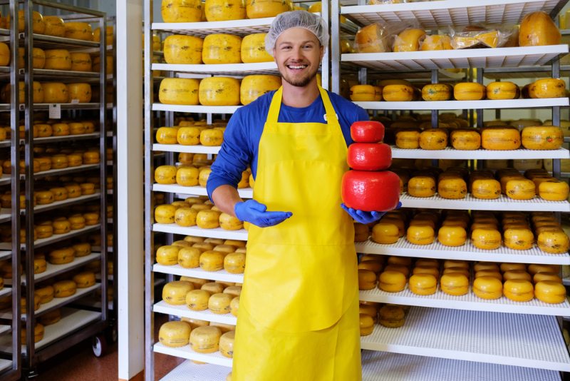 productiemedewerker kaasfabriek